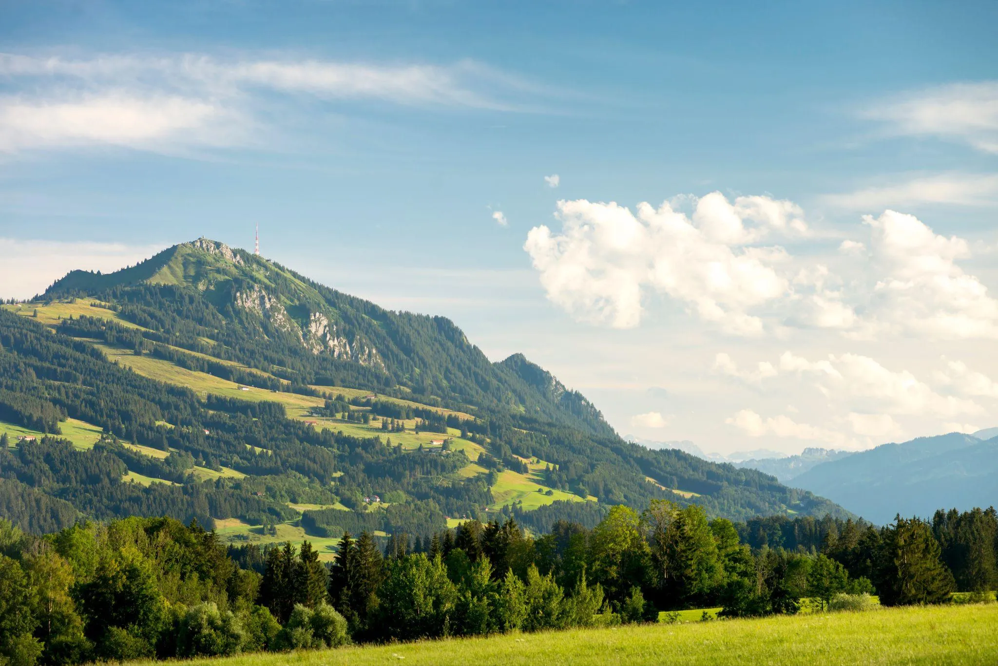 Bewaldeter Bergrücken mit Almwiesen und verstreuten Höfen, im Vordergrund Wiese und Bäume unter blauem Himmel