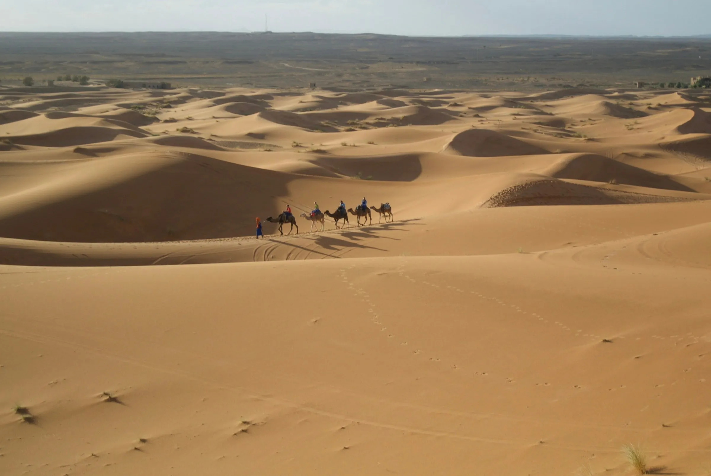 Kamelkarawane zieht durch die Sanddünen des Erg Chebbi bei Merzouga, im Hintergrund flache Steinwüste