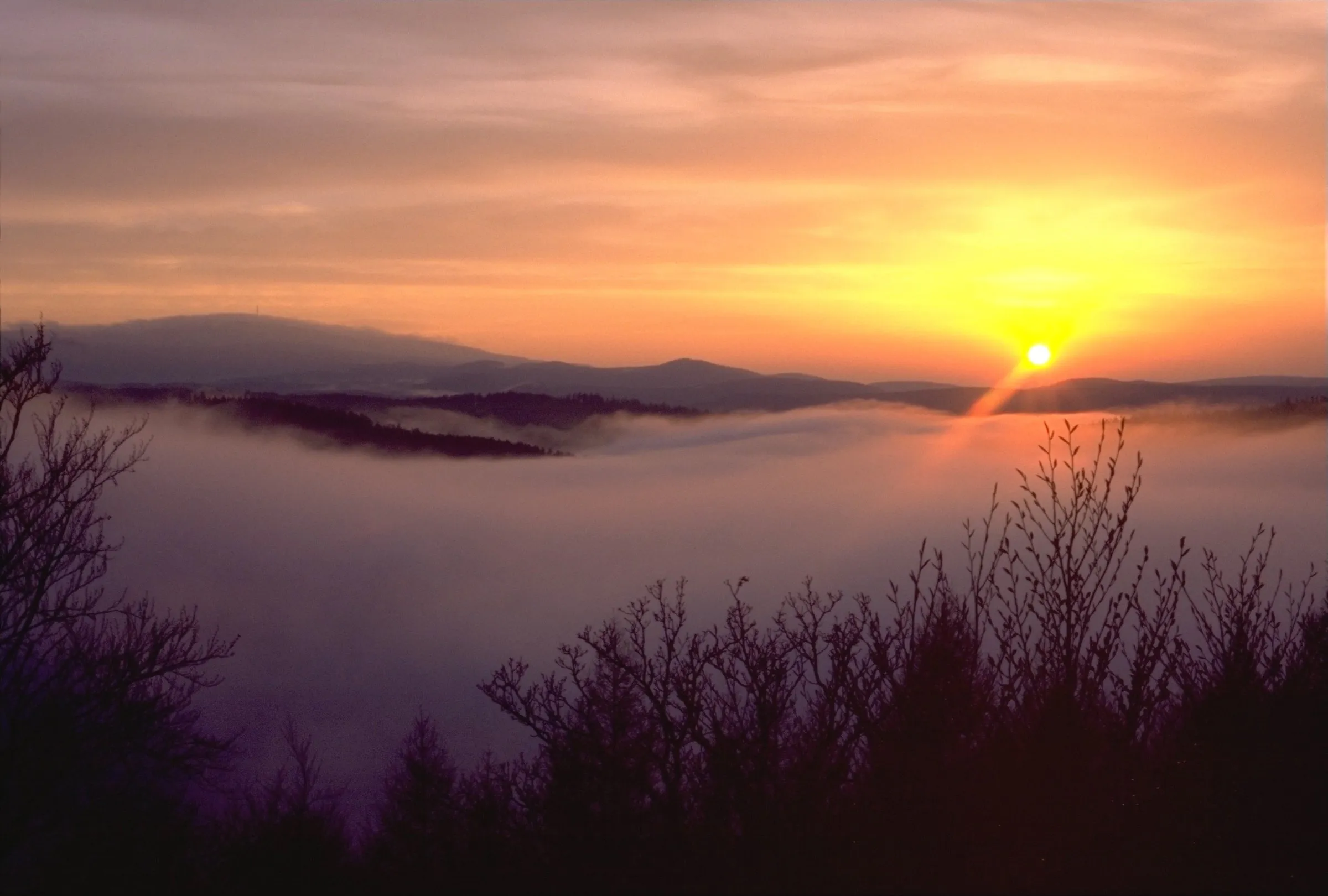 Sonnenuntergang über dem Harz, im Tal liegt dichter Nebel, dahinter die flache Kuppe des Brockens, vorn kahle Zweige