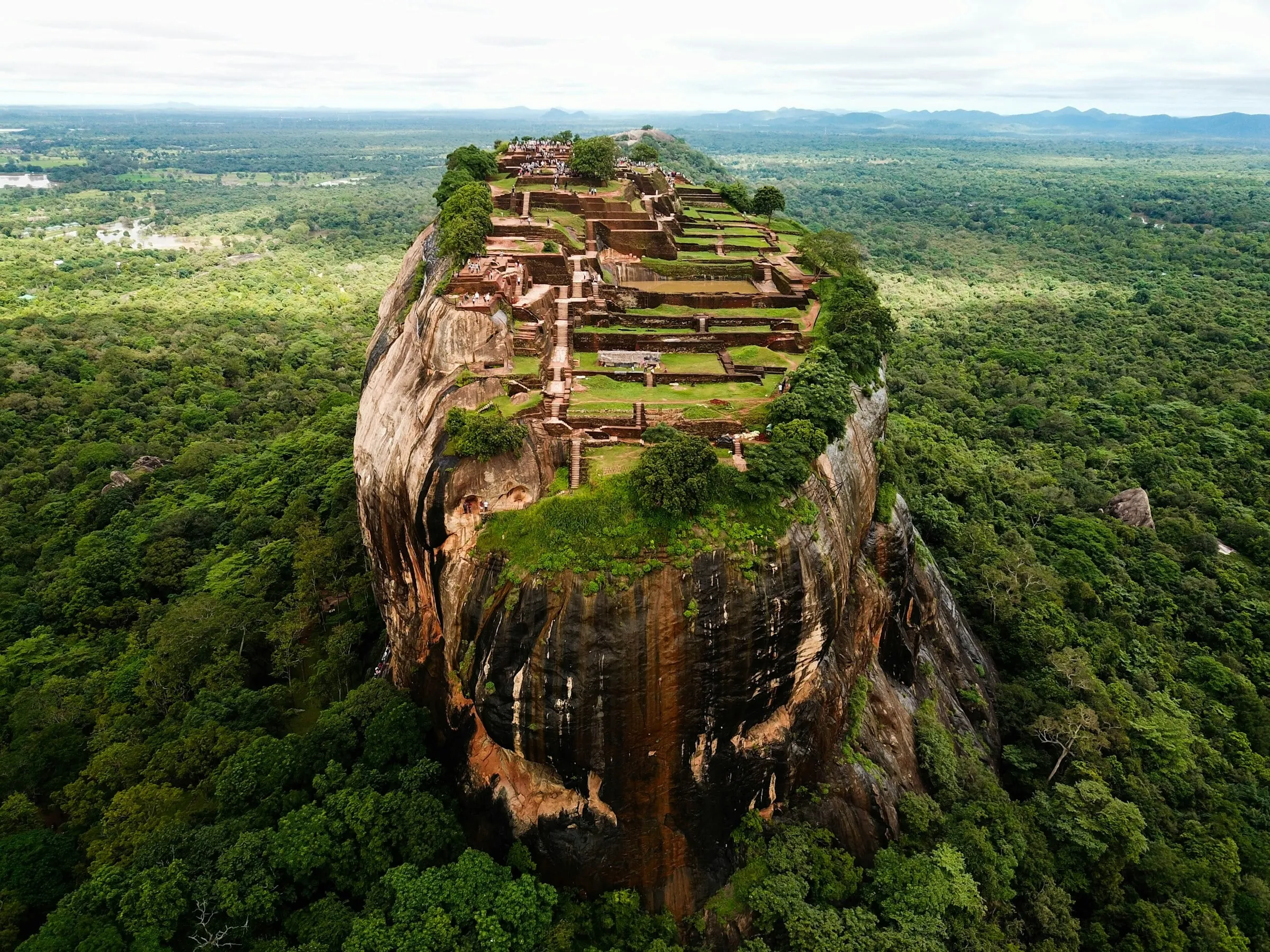 Luftaufnahme des Felsens von Sigiriya mit den Ruinen der Palastterrassen auf dem Gipfel, ringsum dichter grüner Wald