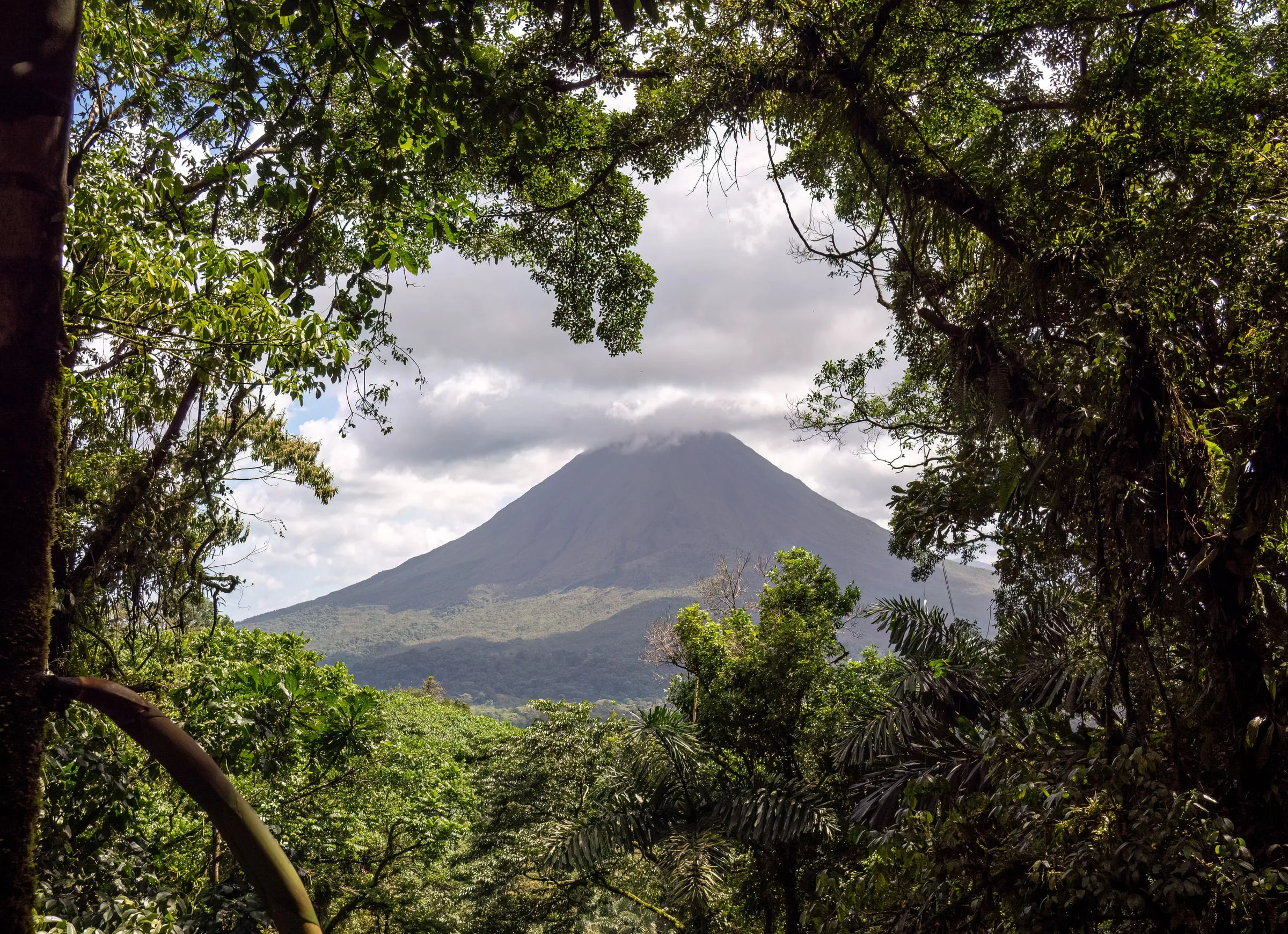 Blick durch dichten Regenwald auf den kegelförmigen Vulkan Arenal unter aufziehenden Wolken