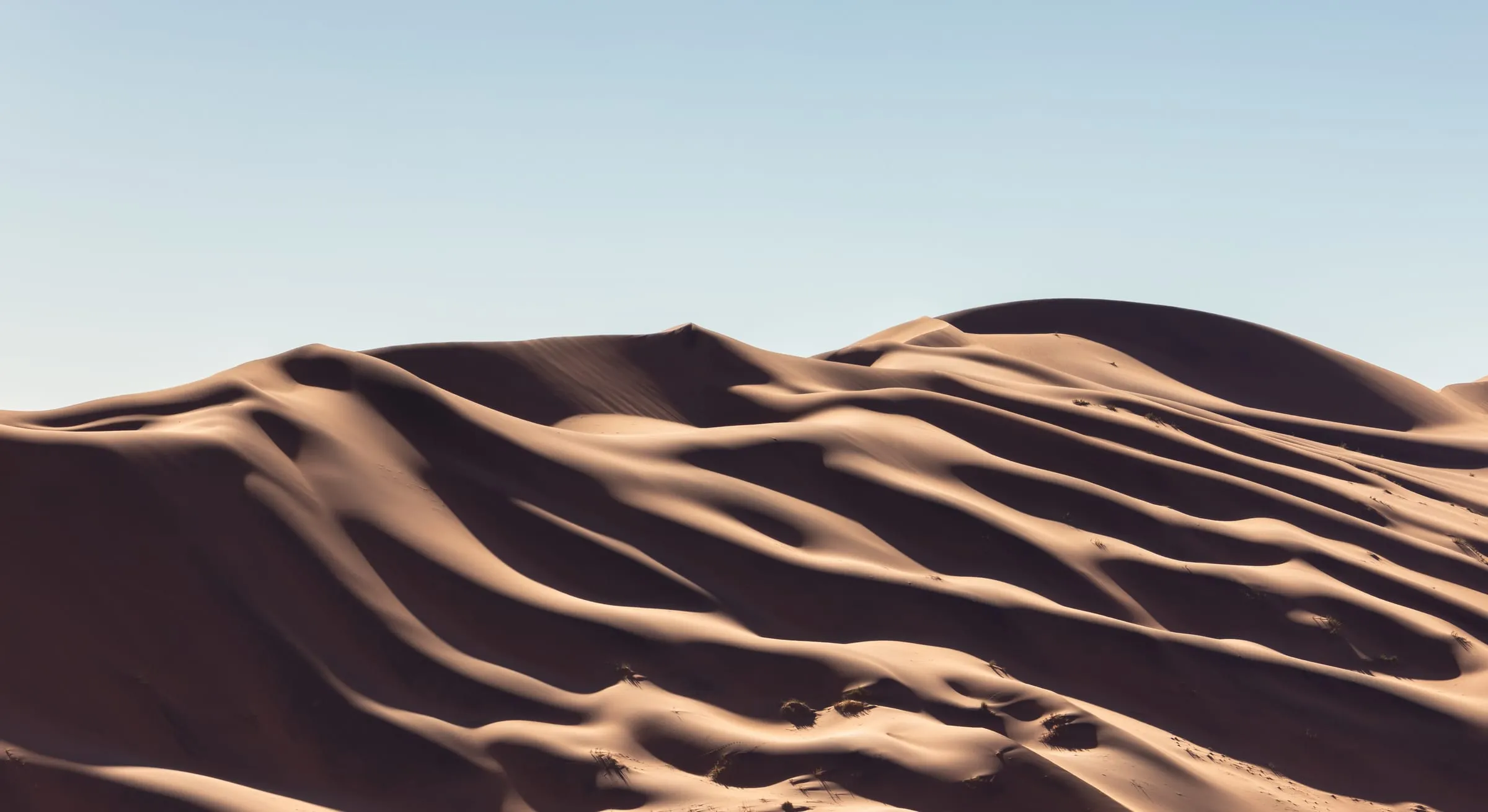 Dünenkamm im Sossusvlei im Morgenlicht, scharfe Grate werfen lange Schatten über den rotbraunen Sand